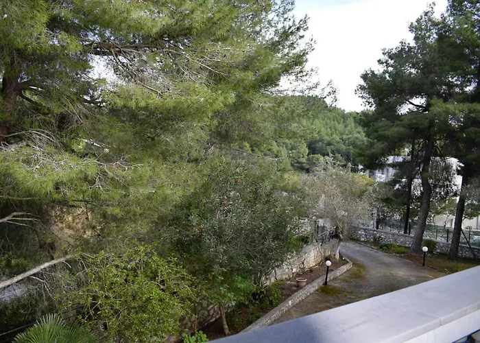 Pine Tree House