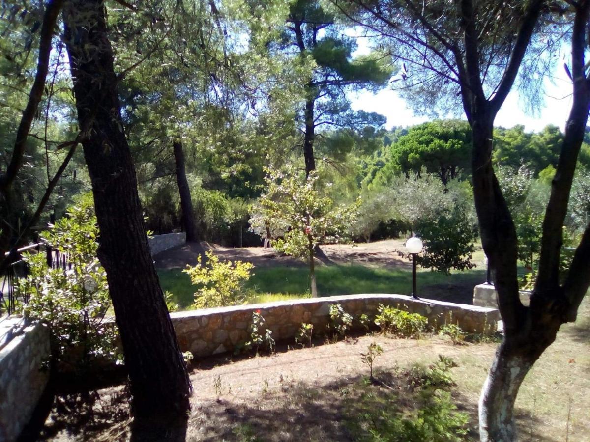 Pine Tree House * Troulos
