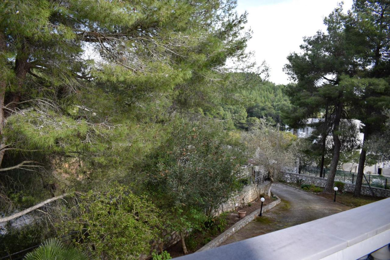 Pine Tree House *